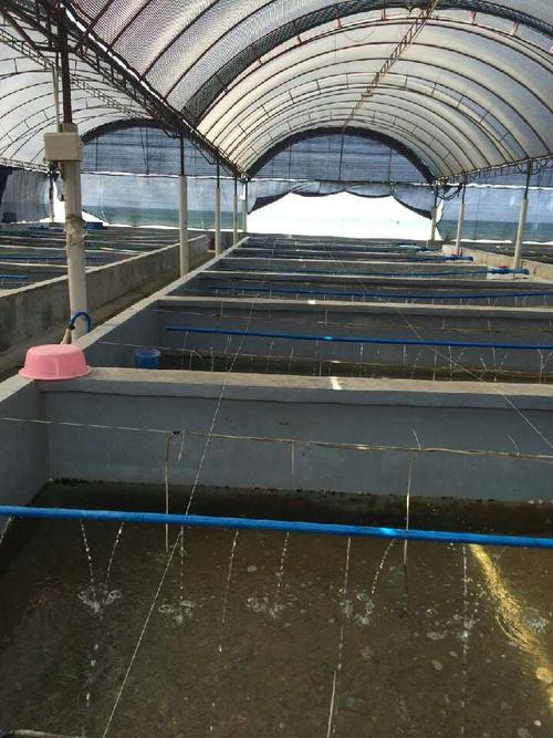凡纳滨对虾养殖污水过滤系统